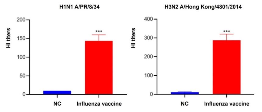 Vaccine Development